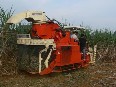 机械化开道 “糖都”崇左力破糖业发展困局 - 广西县域经济网